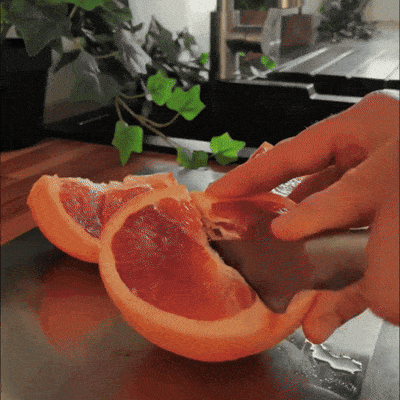 Elegiar Titanium Cutting Board